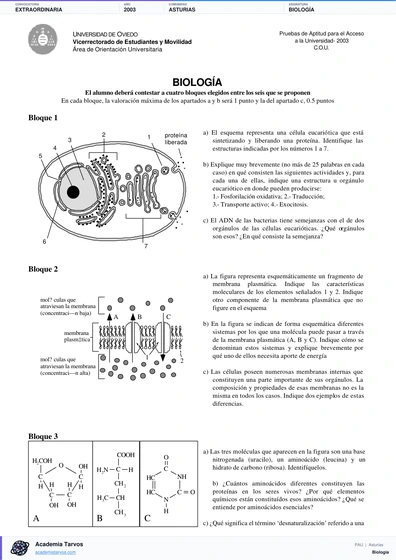 Vista previa de Examen PAU de Biología de Asturias 2003 – Extraordinaria