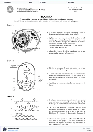 Vista previa de Examen PAU de Biología de Asturias 2003 – Ordinaria