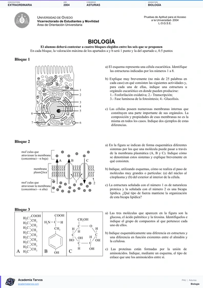 Vista previa de Examen PAU de Biología de Asturias 2004 – Extraordinaria