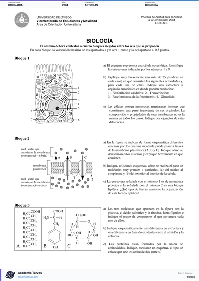 Vista previa de Examen PAU de Biología de Asturias 2004 – Ordinaria