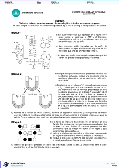 Vista previa de Examen PAU de Biología de Asturias 2005 – Ordinaria