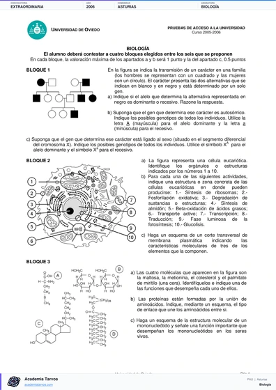 Vista previa de Examen PAU de Biología de Asturias 2006 – Extraordinaria