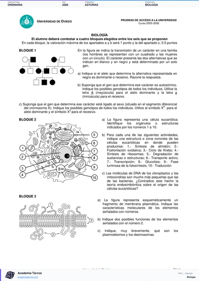 Vista previa de Examen PAU de Biología de Asturias 2006 – Ordinaria
