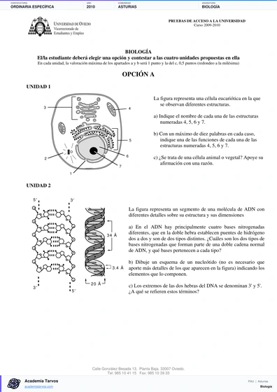 Vista previa de Examen PAU de Biología de Asturias 2010 – Ordinaria Específica