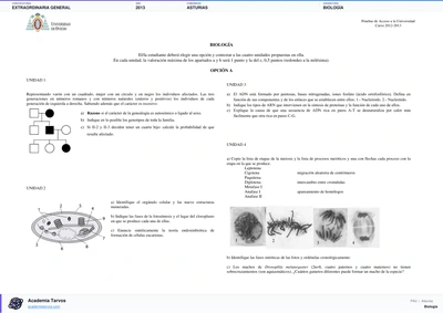 Vista previa de Examen PAU de Biología de Asturias 2013 – Extraordinaria General