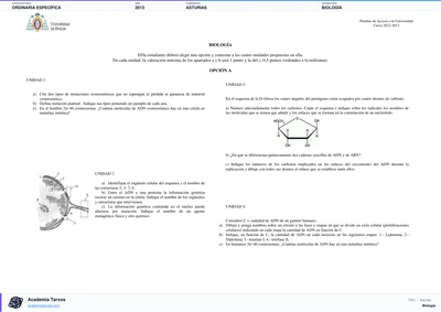 Vista previa de Examen PAU de Biología de Asturias 2013 – Ordinaria Específica