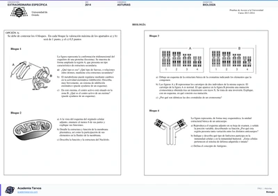 Vista previa de Examen PAU de Biología de Asturias 2014 – Extraordinaria Específica