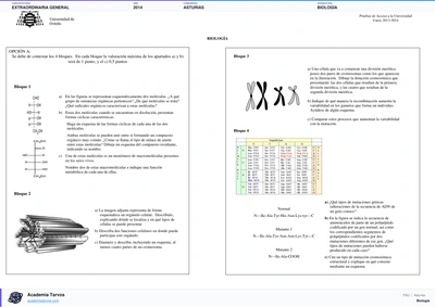 Vista previa de Examen PAU de Biología de Asturias 2014 – Extraordinaria General
