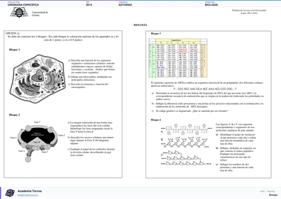 Vista previa de Examen PAU de Biología de Asturias 2014 – Ordinaria Específica