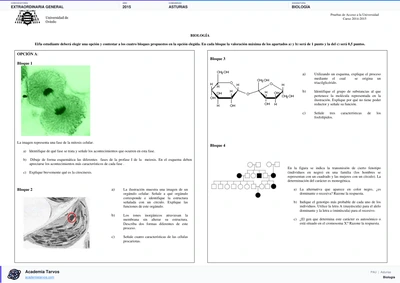 Vista previa de Examen PAU de Biología de Asturias 2015 – Extraordinaria General