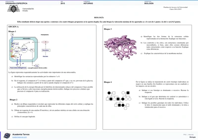 Vista previa de Examen PAU de Biología de Asturias 2015 – Ordinaria Específica