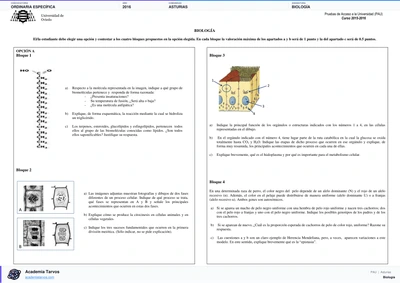 Vista previa de Examen PAU de Biología de Asturias 2016 – Ordinaria Específica