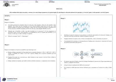 Vista previa de Examen PAU de Biología de Asturias 2016 – Ordinaria General