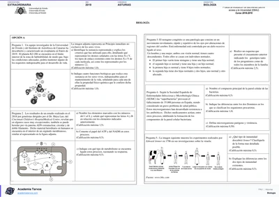 Vista previa de Examen PAU de Biología de Asturias 2019 – Extraordinaria