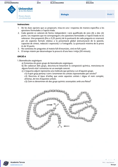 Vista previa de Examen PAU de Biología de Illes Balears 2018 – Extraordinaria
