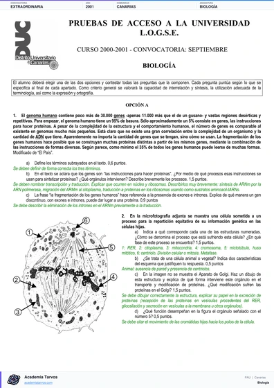 Vista previa de Examen PAU de Biología de Canarias 2001 – Extraordinaria