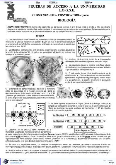 Vista previa de Examen PAU de Biología de Canarias 2003 – Ordinaria