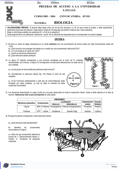 Vista previa de Examen PAU de Biología de Canarias 2004 – Ordinaria