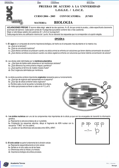 Vista previa de Examen PAU de Biología de Canarias 2005 – Ordinaria