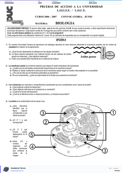 Vista previa de Examen PAU de Biología de Canarias 2007 – Ordinaria