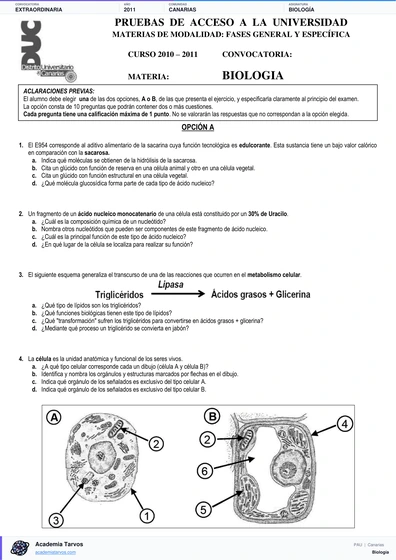 Vista previa de Examen PAU de Biología de Canarias 2011 – Extraordinaria