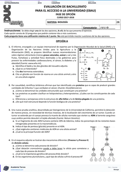Vista previa de Examen PAU de Biología de Canarias 2018 – Extraordinaria
