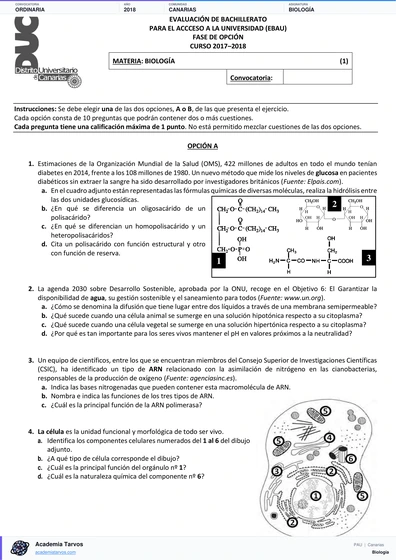 Vista previa de Examen PAU de Biología de Canarias 2018 – Ordinaria