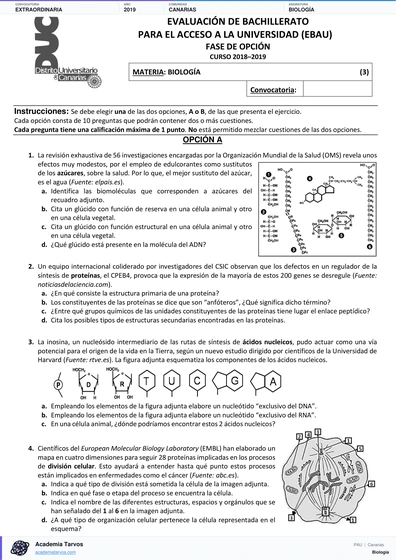 Vista previa de Examen PAU de Biología de Canarias 2019 – Extraordinaria