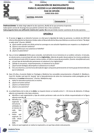 Vista previa de Examen PAU de Biología de Canarias 2019 – Ordinaria