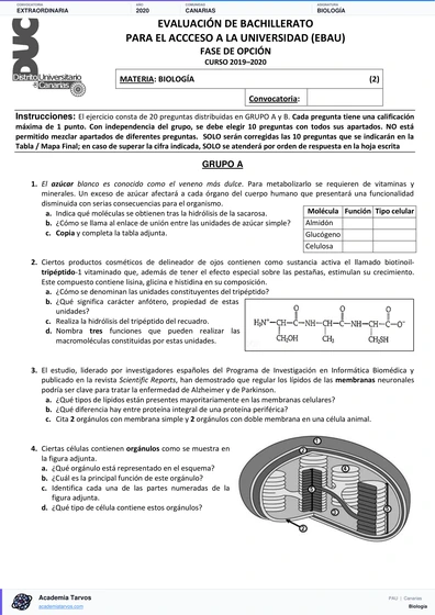 Vista previa de Examen PAU de Biología de Canarias 2020 – Extraordinaria