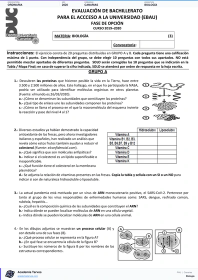 Vista previa de Examen PAU de Biología de Canarias 2020 – Ordinaria