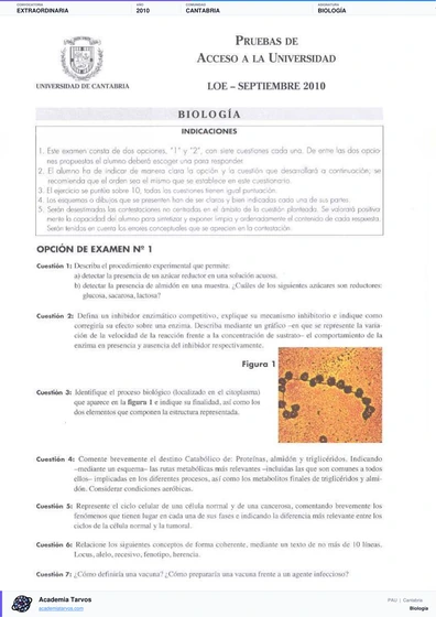 Vista previa de Examen PAU de Biología de Cantabria 2010 – Extraordinaria
