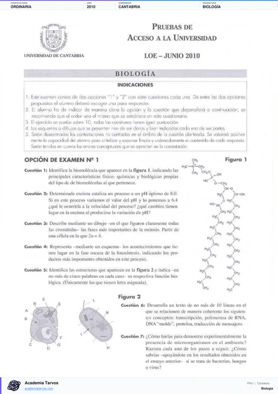 Vista previa de Examen PAU de Biología de Cantabria 2010 – Ordinaria