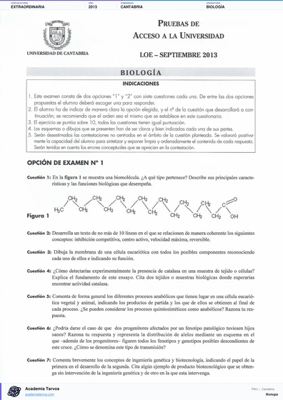 Vista previa de Examen PAU de Biología de Cantabria 2013 – Extraordinaria