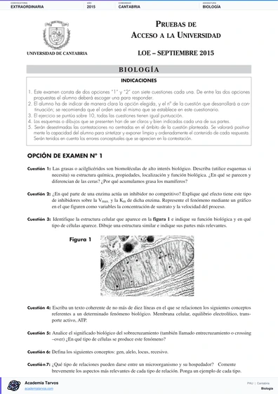 Vista previa de Examen PAU de Biología de Cantabria 2015 – Extraordinaria