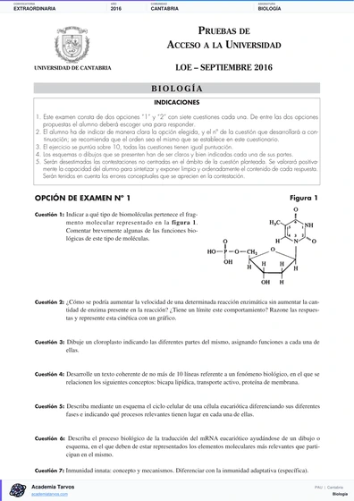 Vista previa de Examen PAU de Biología de Cantabria 2016 – Extraordinaria