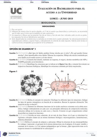 Vista previa de Examen PAU de Biología de Cantabria 2019 – Ordinaria