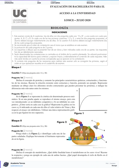 Vista previa de Examen PAU de Biología de Cantabria 2020 – Ordinaria