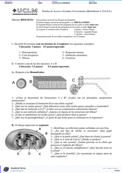 Vista previa de Examen PAU de Biología de Castilla-La Mancha 2008 – Reserva