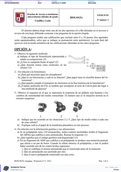 Vista previa de Examen PAU de Biología de Castilla y León 2012 – Extraordinaria