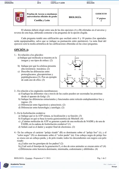 Vista previa de Examen PAU de Biología de Castilla y León 2012 – Ordinaria