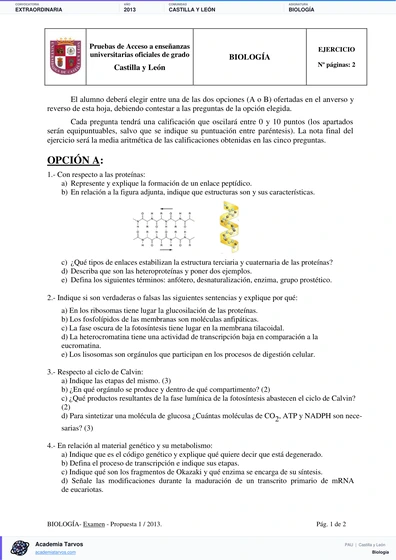 Vista previa de Examen PAU de Biología de Castilla y León 2013 – Extraordinaria