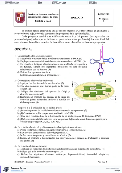 Vista previa de Examen PAU de Biología de Castilla y León 2014 – Extraordinaria