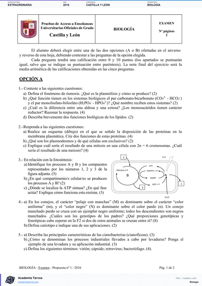 Vista previa de Examen PAU de Biología de Castilla y León 2016 – Extraordinaria