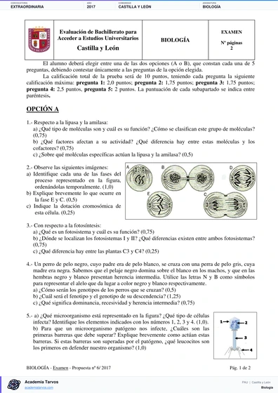 Vista previa de Examen PAU de Biología de Castilla y León 2017 – Extraordinaria