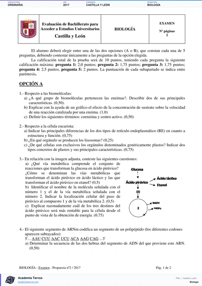 Vista previa de Examen PAU de Biología de Castilla y León 2017 – Ordinaria