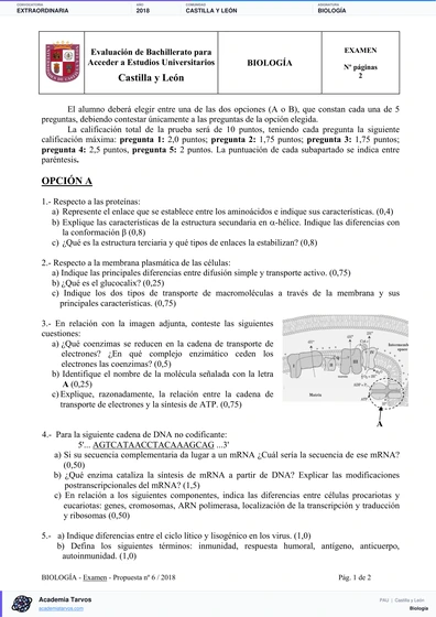 Vista previa de Examen PAU de Biología de Castilla y León 2018 – Extraordinaria