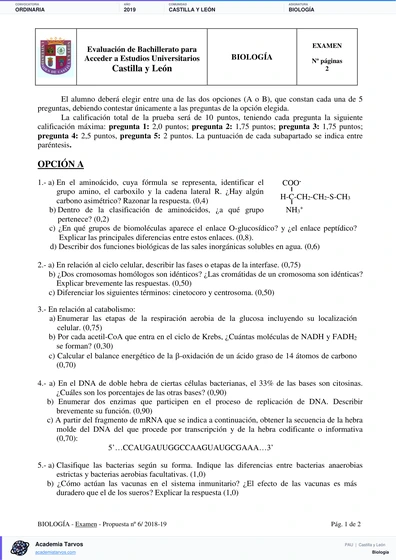 Vista previa de Examen PAU de Biología de Castilla y León 2019 – Ordinaria