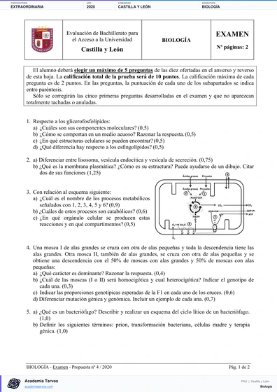 Vista previa de Examen PAU de Biología de Castilla y León 2020 – Extraordinaria