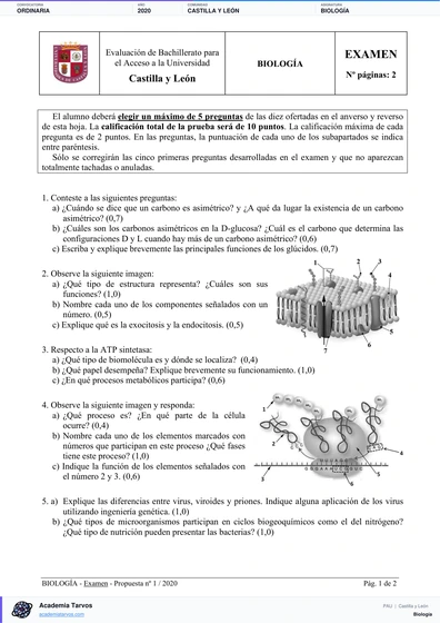 Vista previa de Examen PAU de Biología de Castilla y León 2020 – Ordinaria